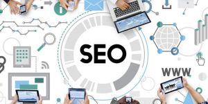 Search Engine Optimization Service