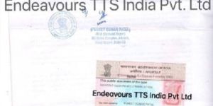 Certificate Apostille Services