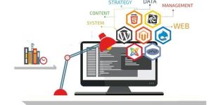 Dynamic Web Designing Services