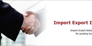 Import Export Code Consultancy Services