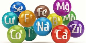 Amino Chelated Minerals