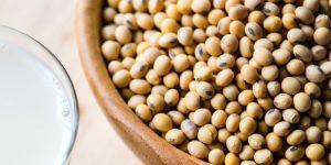 Hydrolysed Vegetable Protein