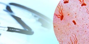 SALMONELLA TYPHI WITH BLOOD CULTURE