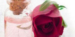 Rose Oil