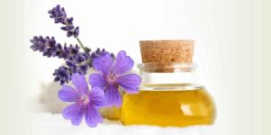 Geranium Essential Oil