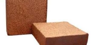 Coco Peat