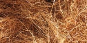 Coconut Fiber