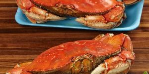 Frozen Crabs