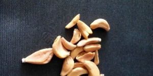 Dehydrated Garlic Flakes