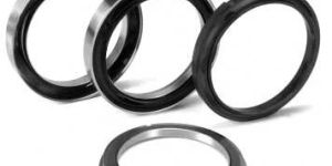 Expressor Oil Seal