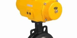 Pneumatically Actuated Butterfly Valves