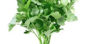 Parsley