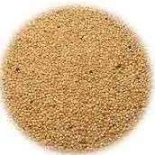 Amaranth Grains