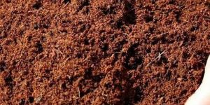 Coco Peat