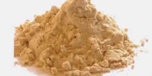 Protein Hydrolysate Powder