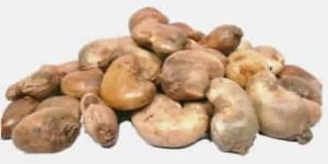 Raw Cashew Nuts