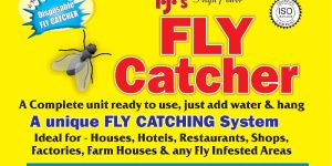 Fly Catcher