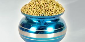 Coriander Seeds