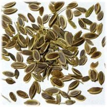 Dried Dill Seed
