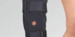 Hinged Knee Support