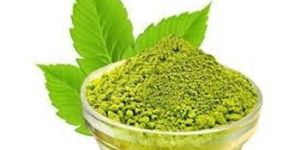 Tulsi Extract