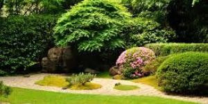 Lawn Pest Control Services