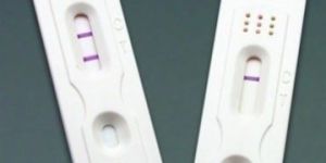 Urine Pregnancy Test Kit