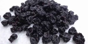 Dried Cultivated BlueBerries