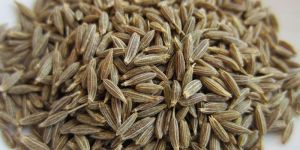 Cumin Seeds