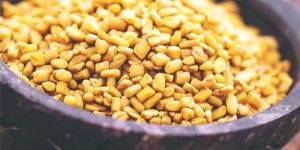 Fenugreek Seeds