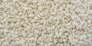 Sesame Seeds