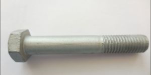 Carriage Bolt