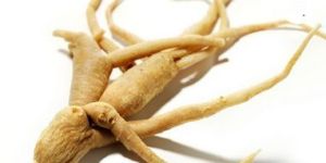 Ashwagandha Roots
