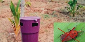 Red Palm Weevil Trap