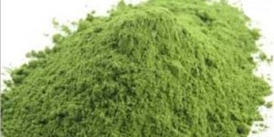 Stevia Leaves Powder