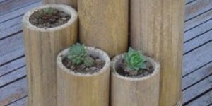 Bamboo Planters