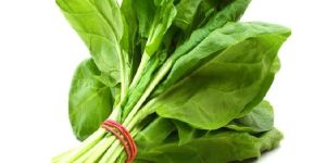 Fresh Spinach Leaves