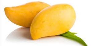 Yellow Mango