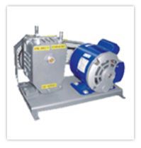 Rotary Vacuum Pumps