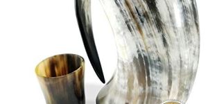 Horn Glass