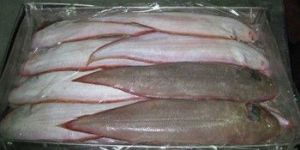 Sole Frozen Fish