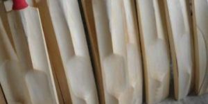 Scoop Tennis Cricket Bat