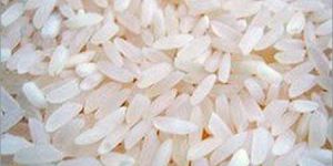 Ponni Non Basmati Rice