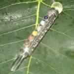 White Metal Healing Wand