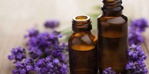 Lavender Oil