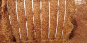 Bristle Coir Fibre