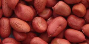 Peanut