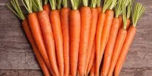 Fresh Carrot