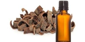 Rosewood Essential Oil