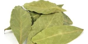 Bay Leaves